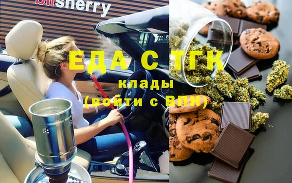 хмурый Алексин